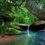 The murmur of water and the singing of birds.