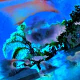 Ａｎｉｌａｎｄ ｖｓ．Ｍｉｋｅ８８８