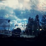 This Past Year Really Sucked