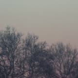 Your Love, I Don’t Want to Lose