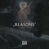 Reasons