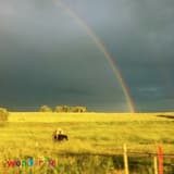 Мир у твоих ног