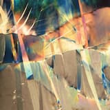 To Be Born and Forget