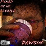 Fucked Up in Florida