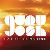 Ray of Sunshine (Stan Serkin Radio Edit)