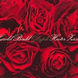 Gorgon's Anxious Pansy