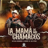 La mamá de mis chamacos