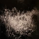 Habitando la Fisura / Urgencia Pediatrica III