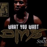 What These B*****s Want (explicit album version)