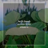 Waiau Trail Ironwood Grove, Oʻahu