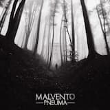 Il Risveglio (Outro)