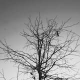 Cheerful Airplane Passenger