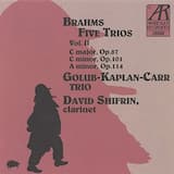 Trio in C Minor for Violin, Cello and Piano, Op. 101: III. Andante grazioso