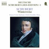 Winterreise, D 911: Mut!