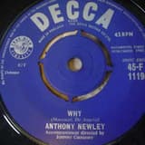 Anything You Wanna Do