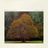 The Rediscovery of Big Bug Creek, Arizona