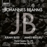 Clarinet Sonata no. 1 in F minor, op. 120: IV. Vivace