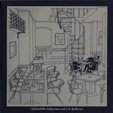 Phenomenon of Aquarium and Bearded Lady