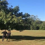 Freudian Slip 'n Slide