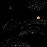 And Beneath Floorboards