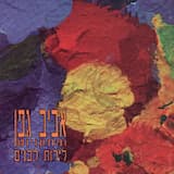 לא יכולתי להציל אותך