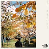 あなたのはじめてみた海