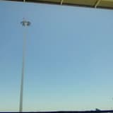 Blown Down by Foul Wind