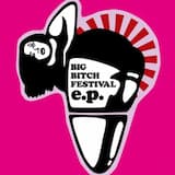 Big Bitch Festival (banvox Remix)