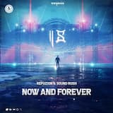 Now and Forever (extended mix)
