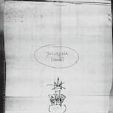 potion (instrumental)