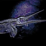 Ichthy’s Realm of Abyss