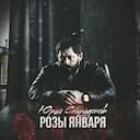 Розы января