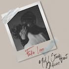 Fake Love