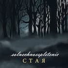 Стая