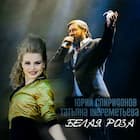 Белая роза