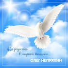 Мы родились в мирной тишине