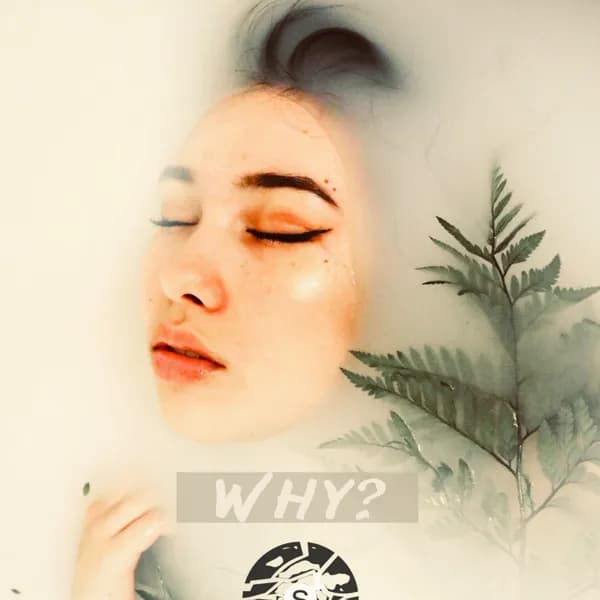 Why image