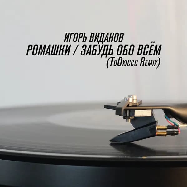 Ромашки / Забудь обо всём image