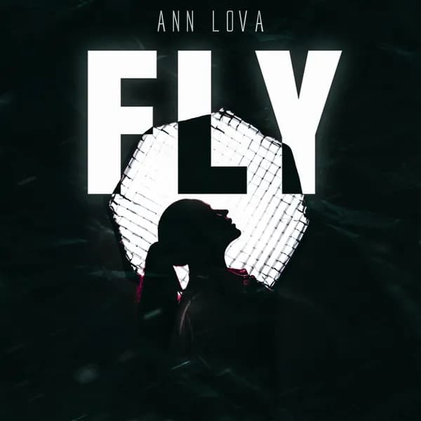 Fly image