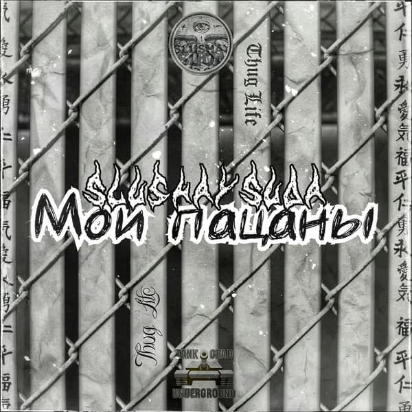 Мои пацаны image