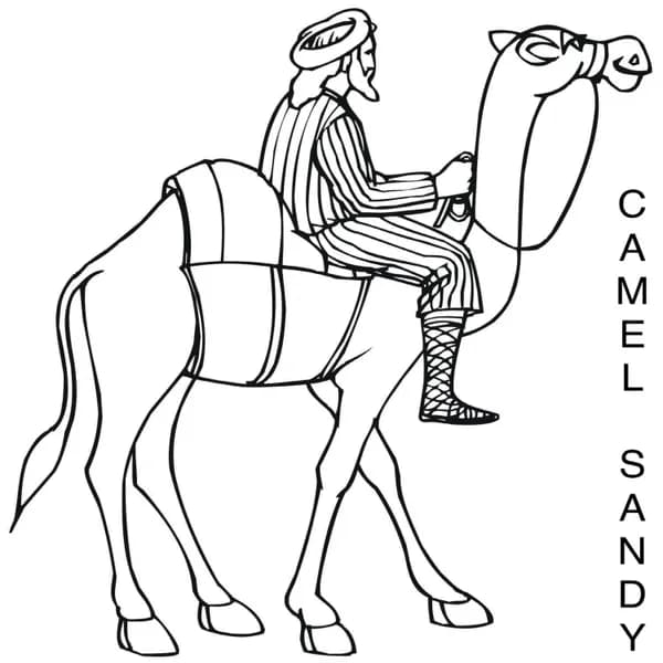 Camel Sandy image