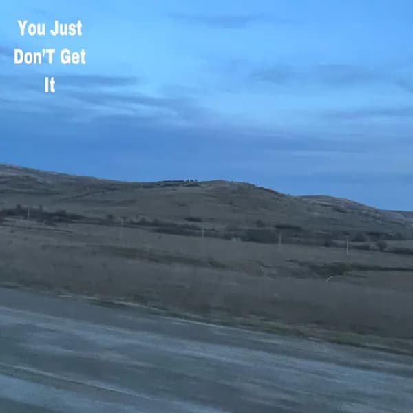 You Just Don'T Get It image
