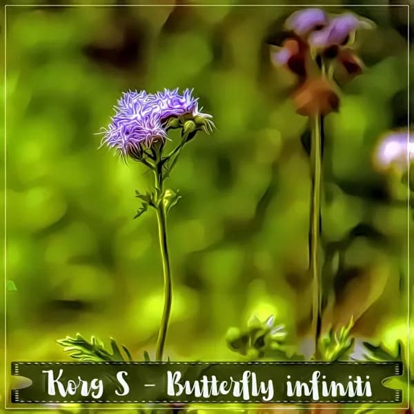 Butterfly Infiniti image