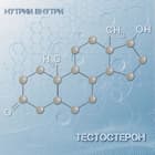 Тестостерон