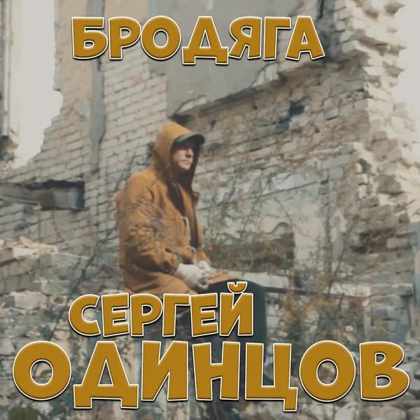 Бродяга image