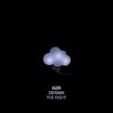 THE NIGHT