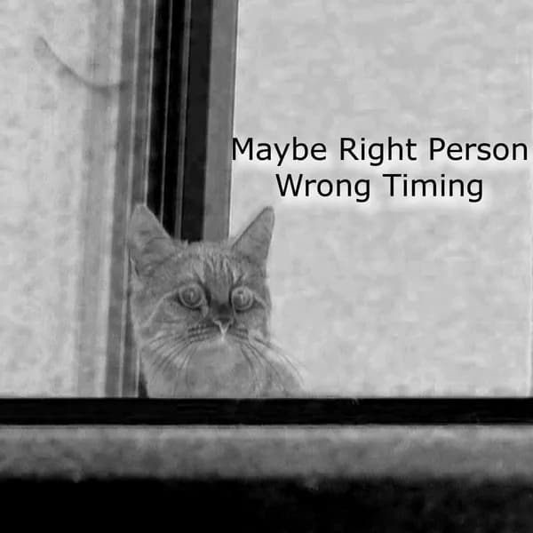 Maybe Right Pеrson Wrong Timing image