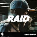 Raid