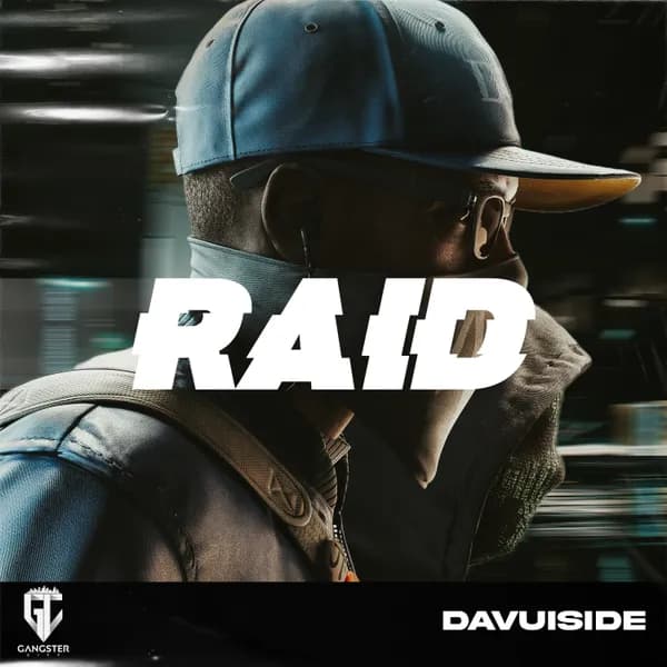 Raid image