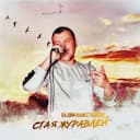 Стая журавлей